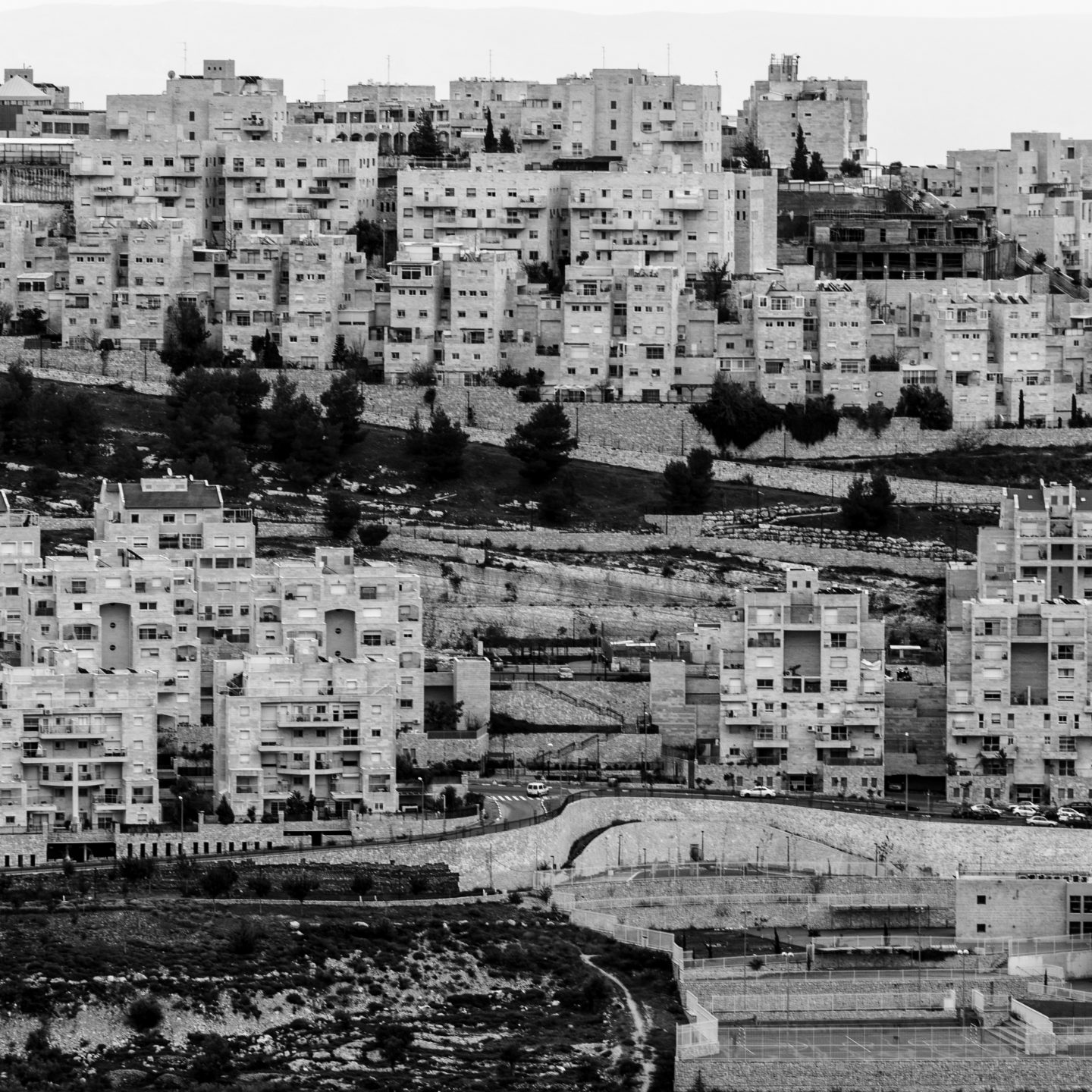 The space of the conflict in Jerusalem. That is, distinguishing the wood from the trees